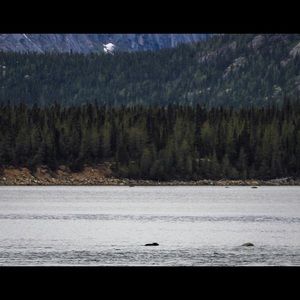 Meet your Posher, Gerard